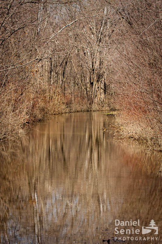 Early Spring Reflection